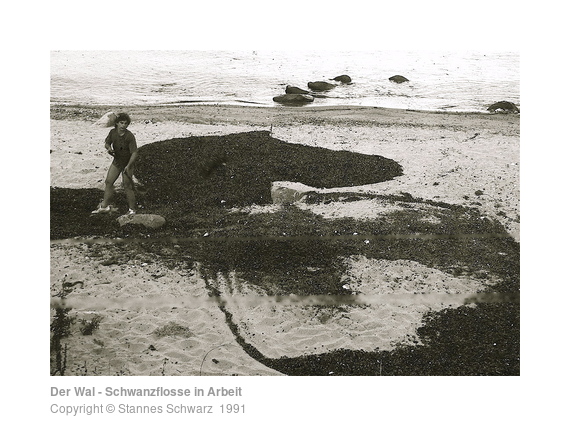 whale - tail in progress