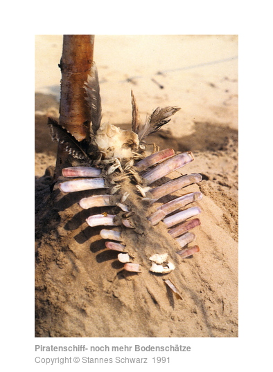 pirate ship - even more treasures of the soil