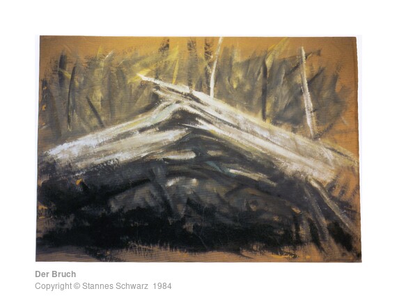 Fracture