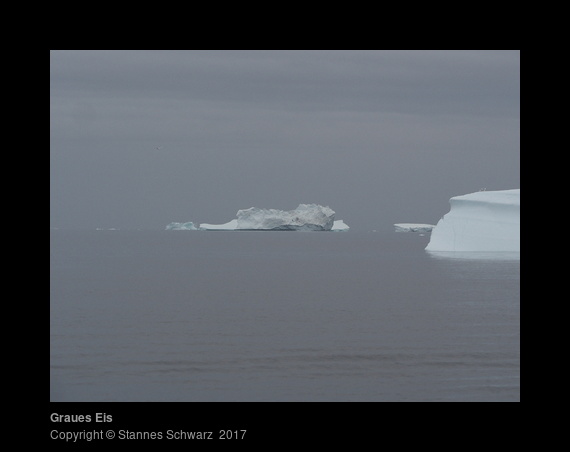 Grey Ice