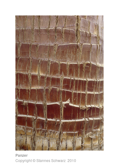 Armour