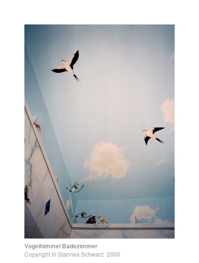 Birds in the sky - bathroom