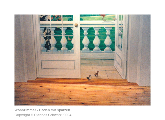 Floor with sparrows