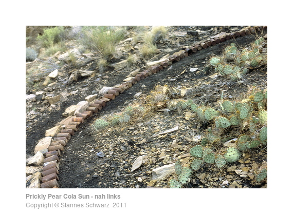 Landart object - circle made of tins and stone