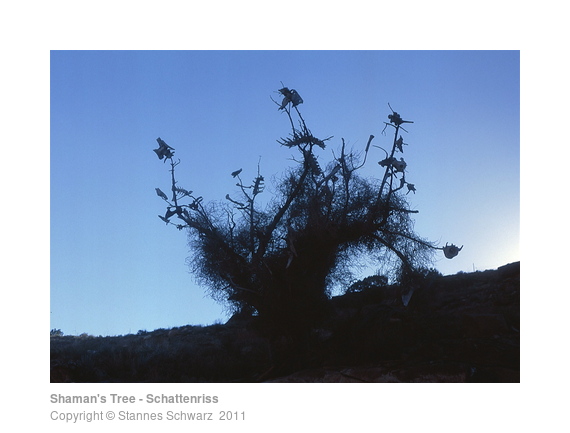 Landart object - dead tree with tumbleweed and bones