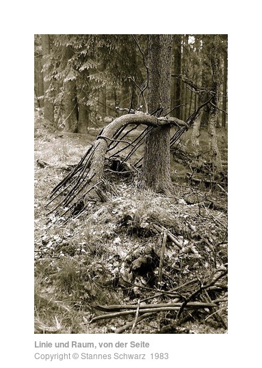 Landart object made of branches