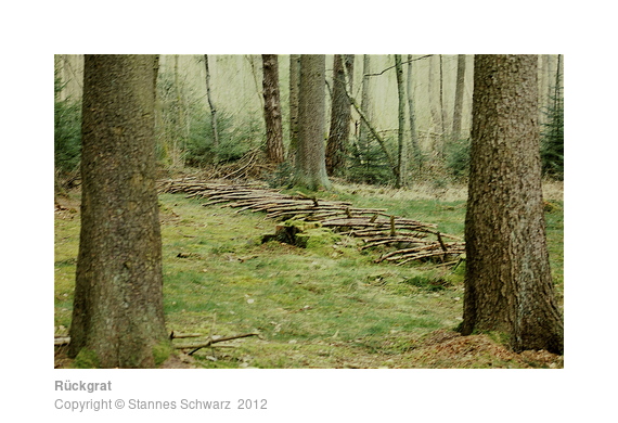 Landart object made of tree trunk and stick