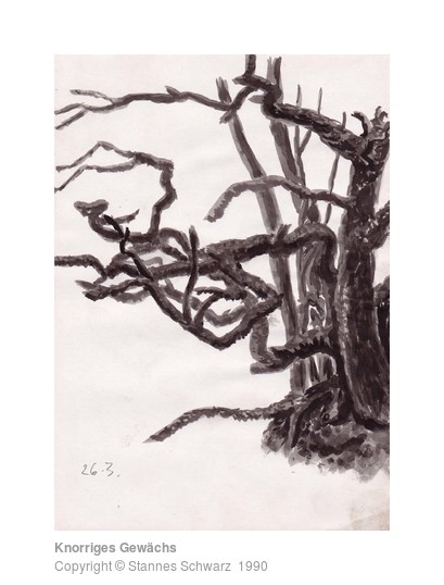 Knotted growth, drawing