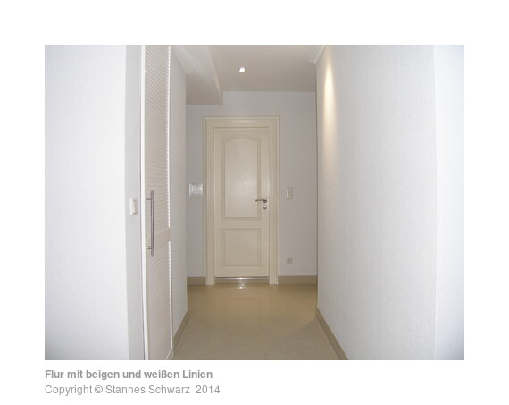 Entry with beige and white lines