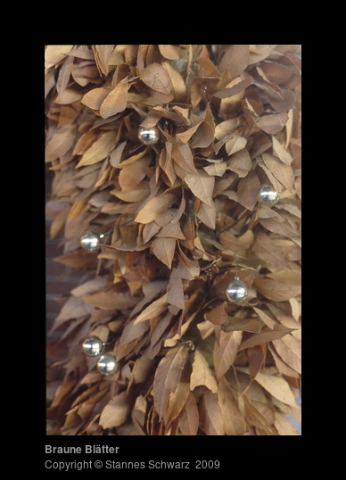 Brown leaves
