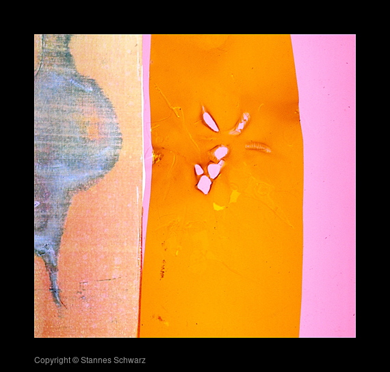first circle/fullfilled slide 22