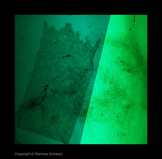 first circle/fullfilled slide 32