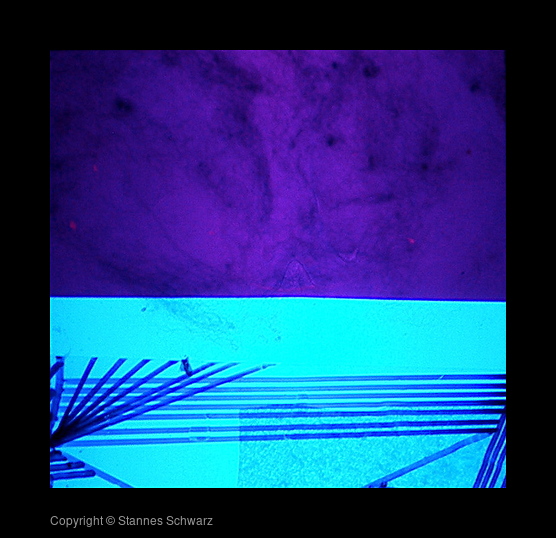 first circle/fullfilled slide 33