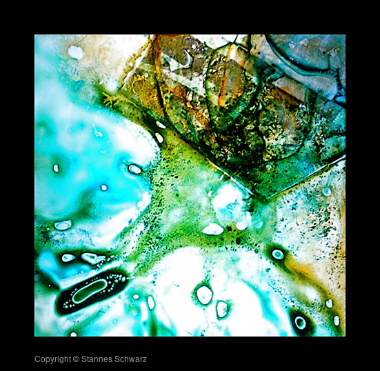 first circle/fullfilled slide 43