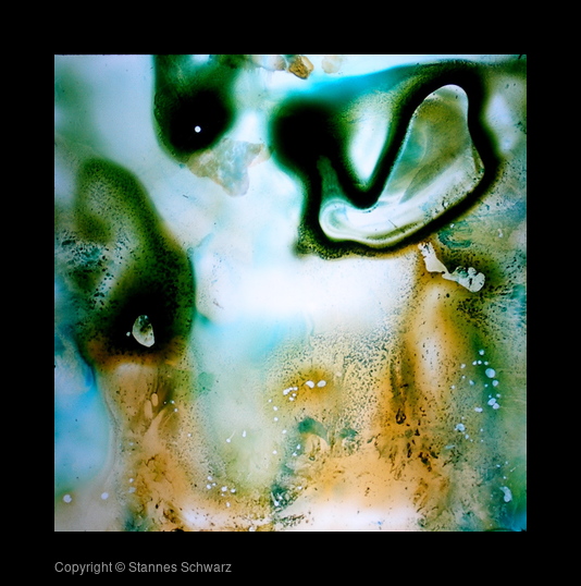 first circle/fullfilled slide 44