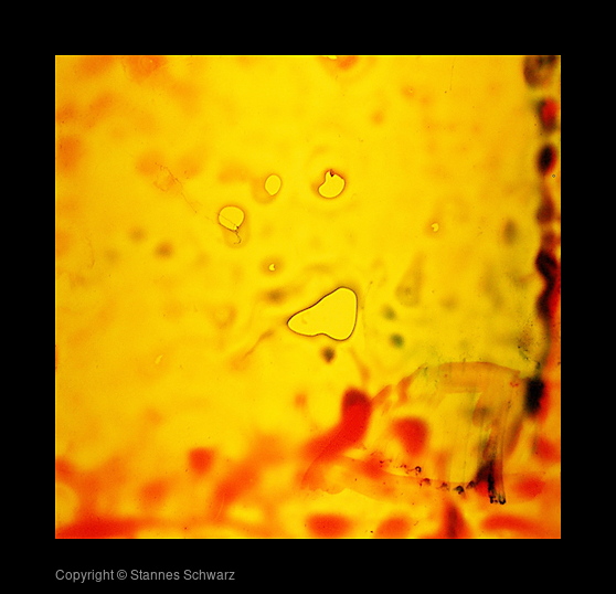 first circle/fullfilled slide 56